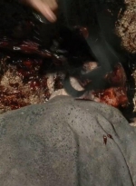 twd0410-2044.jpg