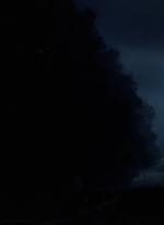 twd0412-0004.jpg