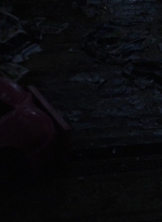 twd0412-2156.jpg