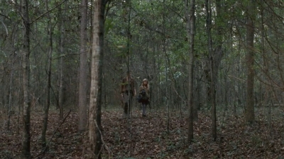 twd0414-0419.jpg