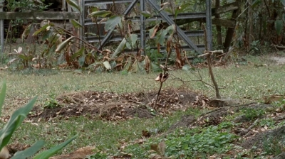 twd0414-0619.jpg