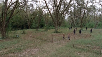 twd0414-1098.jpg