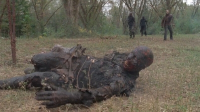 twd0414-1114.jpg