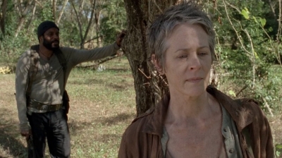 Click to view full size image
==============
twd0414-1307.jpg twd0414-1307.jpg