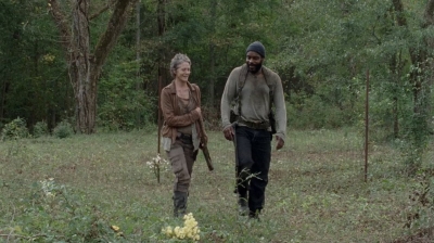 twd0414-1494.jpg