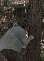 twd0414-0207.jpg