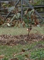 twd0414-0620.jpg