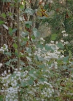 twd0414-0876.jpg