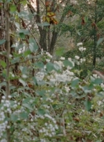 twd0414-0877.jpg