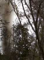 twd0414-0887.jpg