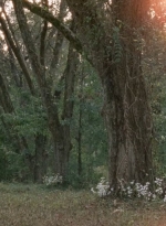 twd0414-0888.jpg