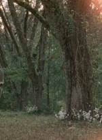 twd0414-0891.jpg