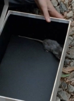 twd0414-1024.jpg
