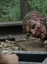 twd0414-1051.jpg