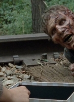twd0414-1052.jpg