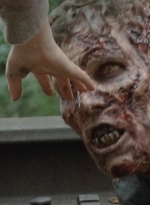 twd0414-1071.jpg