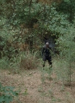 twd0414-1081.jpg
