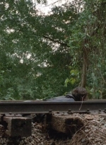 twd0414-1084.jpg