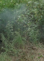 twd0414-1086.jpg