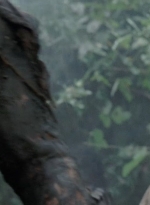 twd0414-1088.jpg