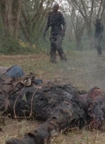 twd0414-1127.jpg