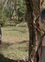 twd0414-1274.jpg