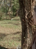 twd0414-1279.jpg