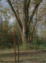 twd0414-2222.jpg