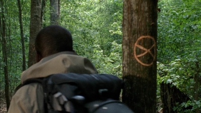 twd0501-3390.jpg