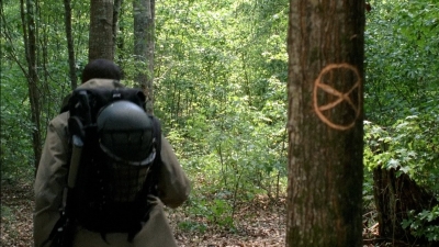 twd0501-3393.jpg