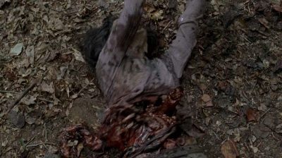 twd0507-2691.jpg