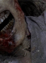 twd0507-2678.jpg