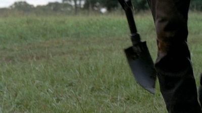 twd0509-3029.jpg