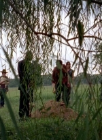 twd0509-2963.jpg