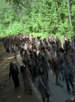twd0601-3953.jpg
