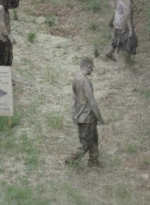 twd0601-4873.jpg