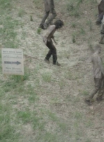 twd0601-4875.jpg