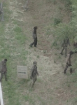 twd0601-4879.jpg