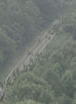 twd0601-4892.jpg