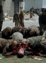 twd0603-1092.jpg