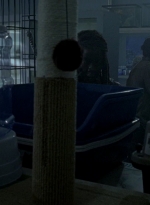 twd0603-1161.jpg