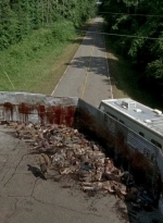 twd0603-2042.jpg