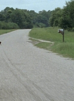 twd0603-3252.jpg