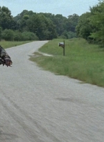 twd0603-3254.jpg
