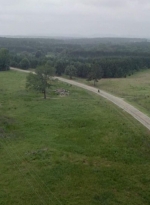 twd0603-3428.jpg