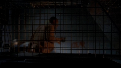twd0604-0104.jpg