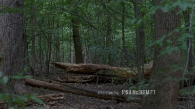 twd0604-0164.jpg