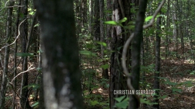 twd0604-0165.jpg