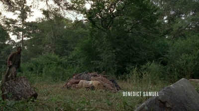 twd0604-0224.jpg