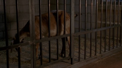 twd0604-2865.jpg